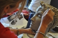 Students enrolled in the Otterbein Summer Ceramic Institute are telling...