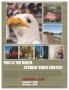 Student Video Contest. March 1st is the deadline. Did you submit...