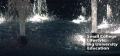 image-1330606-for-951
