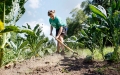 Agronomy student Zoe Higginbottom works the soil at the student-run...