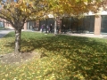 USciences Fall Open House- Small group tours around our University...