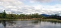 The view from Danforth Hall: Susan's Swamp is alive with dragonflies...