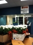 The Registrar's Office is keeping busy as well, preparing grades,...