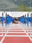 Check out these photos from the 2012 Big Sky Outdoor Track and Field...