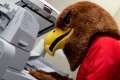 SPOTTED. The Red hawk learning to make copies in the mailroom for...
