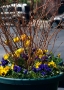 Happy Mother's Day! We bought you flowers, but we planted them on...