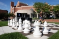 Who's up for a game of chess?