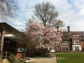 Another spring shot, as requested. More to come, but this whole take...
