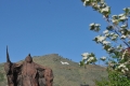 05-08-12 CSM Spring Campus 0005