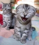 CAPTION THIS: Leave a funny (and appropriate) comment on this picture...