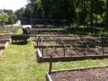 At the Denison Community Garden with men's soccer coach Rob Russo,...