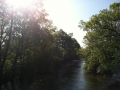 Kicking off a beautiful week on the banks of the Red Cedar. Welcome...