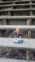 Where is the eagle on campus? First five correct responses win a free...