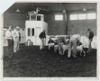[Daily photo] Animal science students practice judging sheep in this...