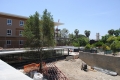5.22.2012 - Green Rooftop Garden