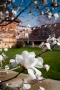 Spring has sprung on campus!