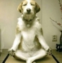 Ommm! Get zen before (or after) your final(s) today with some free...