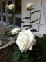 Check out the results of this week's rain on campus!