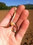 Here are some great pictures from the College Farm!