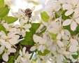 Springtime.
