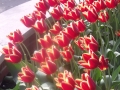image-5675631-for-10447
