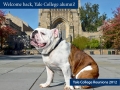 Handsome Dan and the Yale Library welcome alumni back to New Haven...