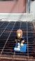 This is the final "Where is the Eagle" photo of the semester! The...