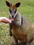 Happy Photo Friday! You never know who you'll meet when you study...