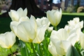 Spring has sprung on campus! Happy Photo Friday, Loggers. Have a great...
