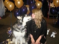 Looks like Dubs - UW Husky Mascot had fun at the University Book Store...