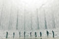 UH Photo of the Week: See performances at Houston's Waterwall this...