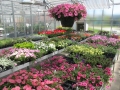 Plant sale is on at the Campus Greenhouse, running until the second...
