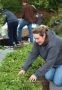 A break in the rain yesterday offered a chance to put some work into...
