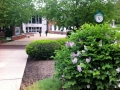 Stop by and smell the lilac bushes between finals! Who knows, it may...