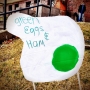 Creative marketing for Pi Beta Phi's Green Eggs and Ham event. Proceeds...