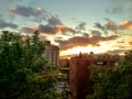 After a gray day of rain, the clouds parted to reveal this gorgeous...