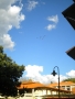 Anyone on campus this fading Friday afternoon, would have seen this...