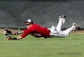 With spring underway, that also means it's baseball season! Our photographer...