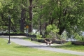 The Saranac Trail, a new community bike and pedestrian path, now winds...