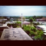 View from Special Collections in Dalton Tower #unccharlotte