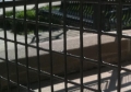 Find-it-Friday! Where can you find this on campus?