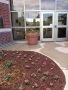 Millennium got planted!