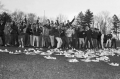 Flashback Friday! In April 1967, an infamous food protest took place...