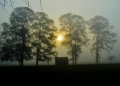 Great photo Melanie!