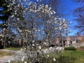 Spring is springing!