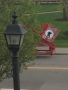 It looks like the first signs of SPRINGFEST! We are pretty sure this...