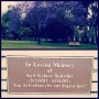 This bench caught our eye while we were admiring the gorgeous Jacaranda...