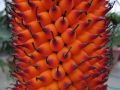 image-5733273-for-421