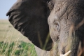 An informational meeting will be held on Monday, April 23, in the...