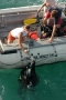 Inexperienced divers face many perils in the waters off the Cape Fear...